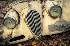 Jaguar Frontansicht - Autoskulpturenpark Neandertal.jpg