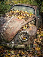 Käfer - Autoskulpturenpark Neandertal.jpg