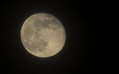 P1000762-s.jpg