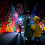 climbing_enten_trailer2_klein_dpixx.jpg