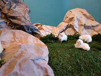 IMG_20240104_120121.jpg