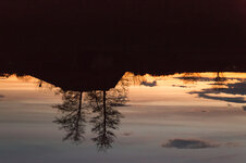 2P9A2381-1 Australien.jpg 2P9A2381-1 Australien.jpg