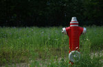 DSC00109.JPG