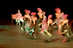 Ballett-Aufführung.jpg
