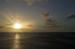 P1150061-d.jpg