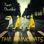 raincoats-plattencover_klein_dpixx.jpg