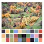 Weinberg Farbtransekt klein.jpg