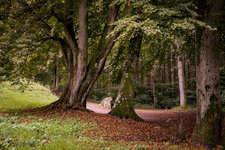 DO01000470.jpg DO01000470.jpg