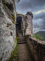 IMG_20241003_122335.jpg IMG_20241003_122335.jpg