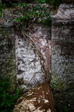 DO01000509.jpg DO01000509.jpg