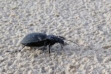 IMG_20240912_180422503.jpg