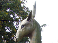 AA103740_1.jpg AA103740_1.jpg