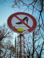 IMG_20241201_100337.jpg IMG_20241201_100337.jpg