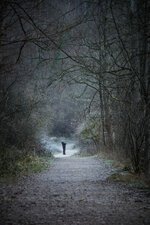 SAM_7051.jpg SAM_7051.jpg