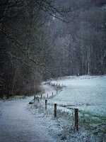 SAM_7090.jpg SAM_7090.jpg