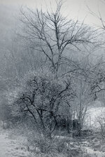 IMG_20241201_185539.jpg IMG_20241201_185539.jpg