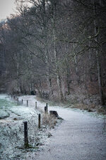 SAM_7097.jpg SAM_7097.jpg