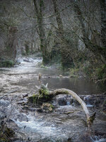 SAM_7059.jpg SAM_7059.jpg