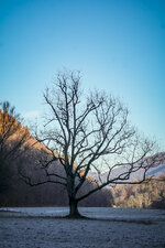 SAM_7093.jpg SAM_7093.jpg