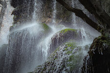 SAM_7110.jpg SAM_7110.jpg