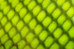 IMG_0005bkl.jpg
