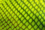IMG_0005bkl2.jpg