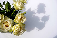 raetsel_25_02_26_0.jpg