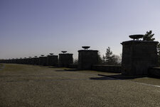 TR_IMG_14761.jpg TR_IMG_14761.jpg