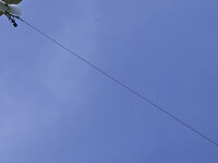 raetsel_25_04_20_1.JPG