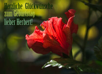 GeburtstagsGlückwunsch.jpg