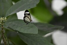 IMG_4567.JPG
