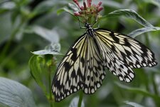 IMG_4465.JPG