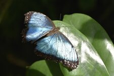 IMG_4491.JPG