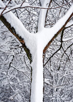 01-r73002731_v2_step01_1280.jpeg 01-r73002731_v2_step01_1280.jpeg