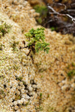 02-b72009265_v1_1000.jpeg 02-b72009265_v1_1000.jpeg