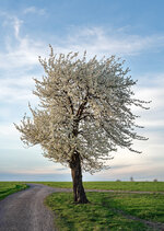 03-r73503979_v2_step01_1280.jpeg 03-r73503979_v2_step01_1280.jpeg