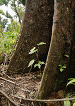 04-r73004529_v2_step01_1280.jpeg 04-r73004529_v2_step01_1280.jpeg