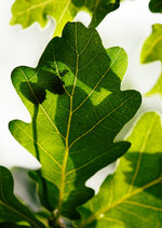 06-r73301535_v6_1280_de.jpeg 06-r73301535_v6_1280_de.jpeg