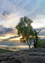 07-a72018233_v3_step01_1280.jpeg 07-a72018233_v3_step01_1280.jpeg