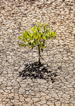 08-r73002939_v3_step01_1280.jpeg 08-r73002939_v3_step01_1280.jpeg