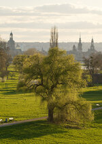 09-s73102923_v2_step01_1280.jpeg 09-s73102923_v2_step01_1280.jpeg