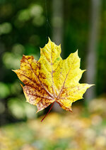 10-r73409153_v2_step01_1280.jpeg 10-r73409153_v2_step01_1280.jpeg