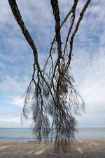 11-r73103428_v1_1280_en.jpeg 11-r73103428_v1_1280_en.jpeg