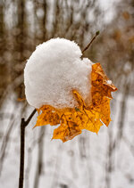 12-r73502217_v2_step01_1280.jpeg 12-r73502217_v2_step01_1280.jpeg