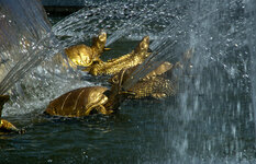 Brunnen in Versailles.jpg