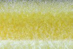 IMG_5190zgp Rätsel.jpg