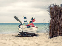 P5300114-s5.jpg