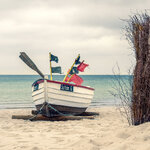 P5300114-s6.jpg