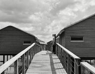 Resize_20260817_181527_7791.jpg