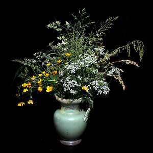 Alte Vase mit Feldblumen.jpg